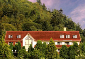 Perełka Bieszczady, Czaszyn